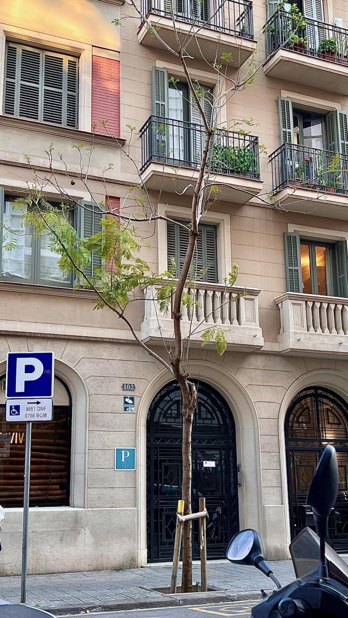Hostal Madrazo Barcelona Buitenkant foto